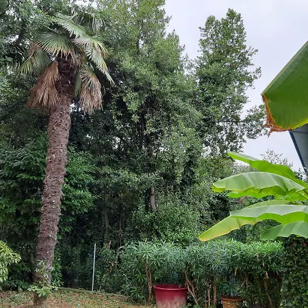 Homestay szállás Casa Nara